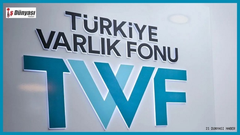 12 şirketin Hazine'ye ait hisseleri Türkiye Varlık Fonu'na aktarıldı