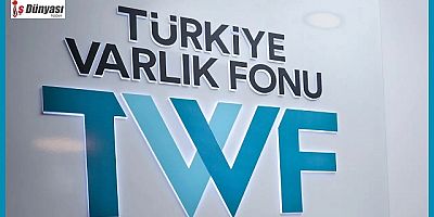 12 şirketin Hazine'ye ait hisseleri Türkiye Varlık Fonu'na aktarıldı