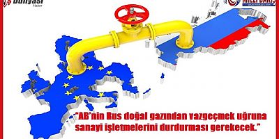 “AB’nin Rus doğal gazından vazgeçmek uğruna sanayi işletmelerini durdurması gerekecek.”